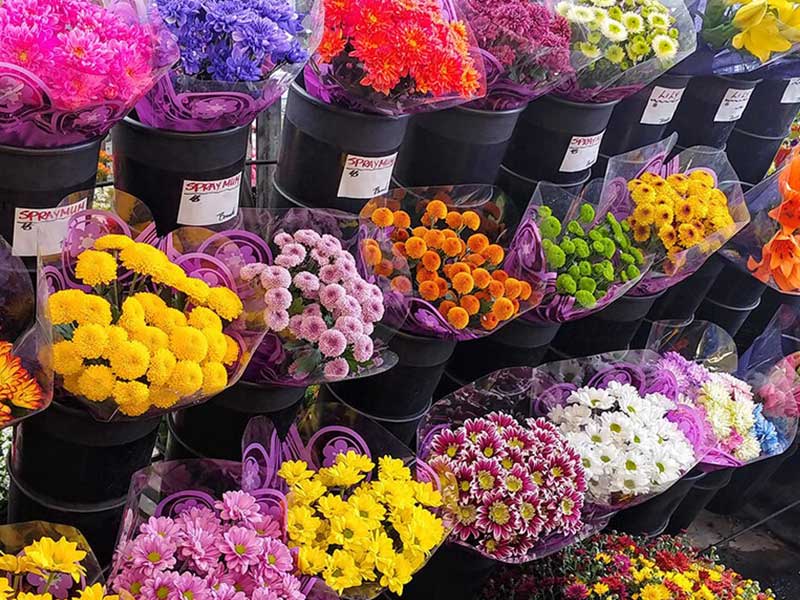 معرفی گل فروشی گلبرگ